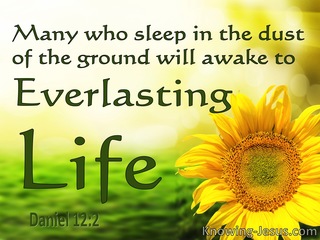 Daniel 12:2  Everlasting Life Or Everlasting Contempt (yellow)